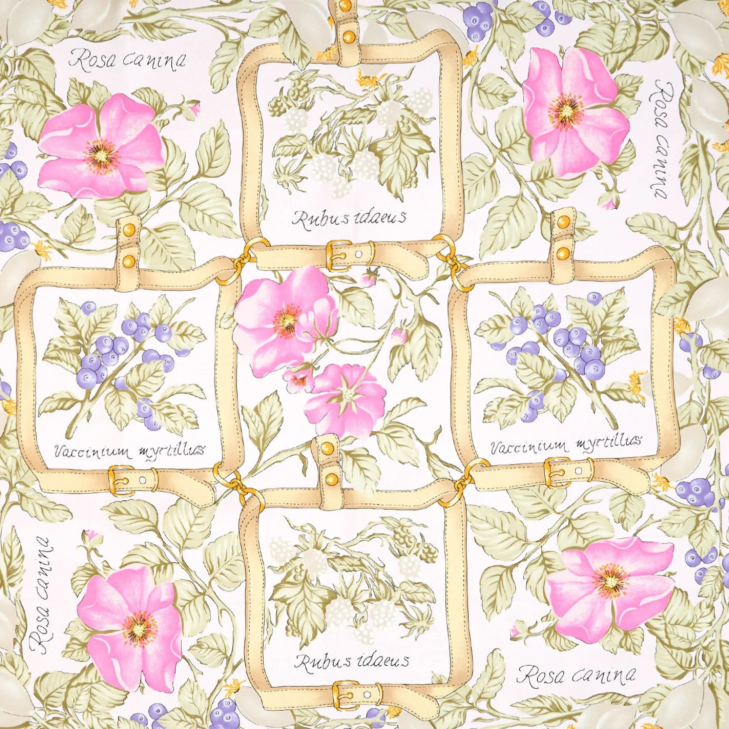 FOULARD IN SETA 90 BEIGE La rosa canina