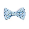 PAPILLON ANNODATO IN SETA AZZURRA Microfantasia fiore