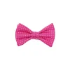 PAPILLON ANNODATO IN SETA FUCSIA Microfantasia geoemtrica
